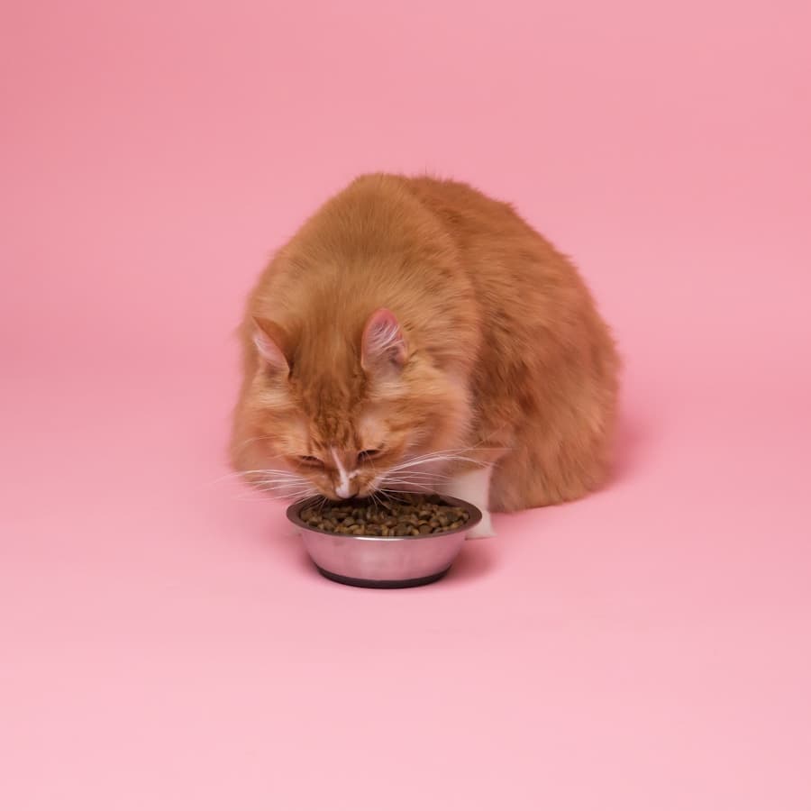 FreshKeep Airtight Pet Food Container